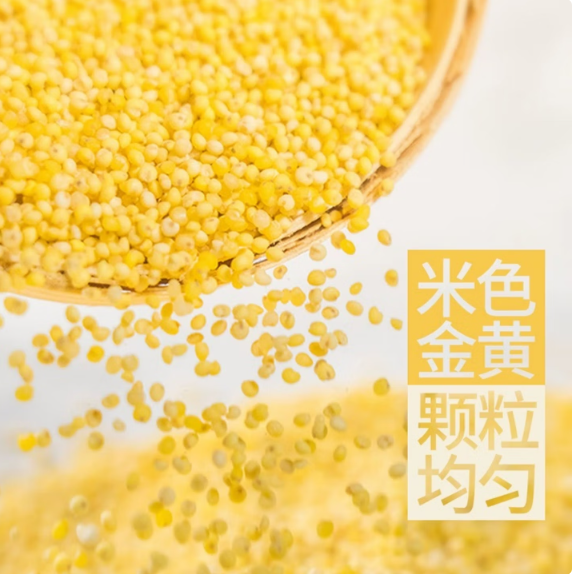 甘肃农家黄小米新米养胃月子五谷杂粮真空包装 500g*3